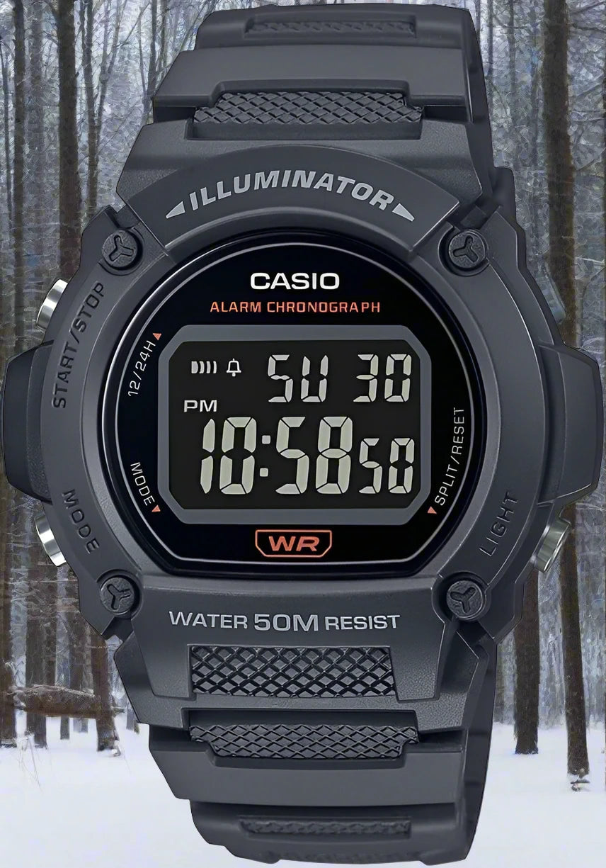 Casio W-219H-1A